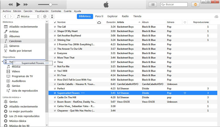 sincronizar iphone con itunes manualmente