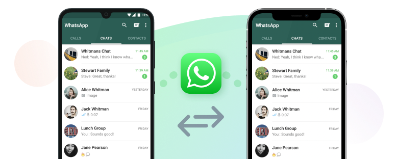 icarefone para whatsapp transferencia