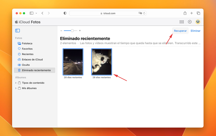 seleccionar fotos y recuperarlas