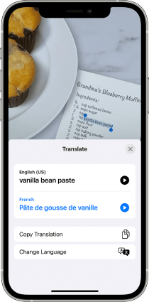 reparar texto en vivo no funciona ios 15