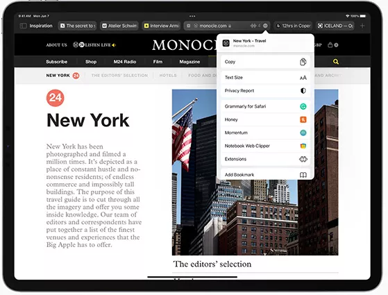 ipados 15 safari extension