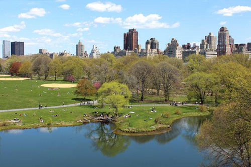 best places to catch Pokémon - central park new york