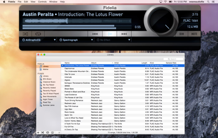 fidelia software for mac