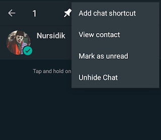 como mostrar chat en gb whatsapp