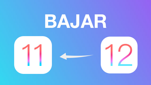 ios 12 beta desinstalar