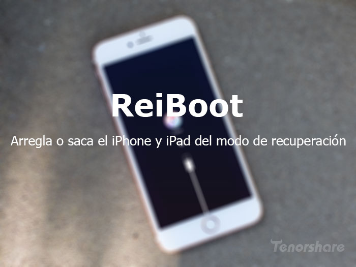 reiboot for ipad