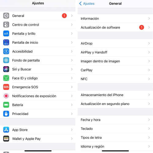 Safari borra cachés cuando el almacenamiento del iPhone 6 está casi lleno