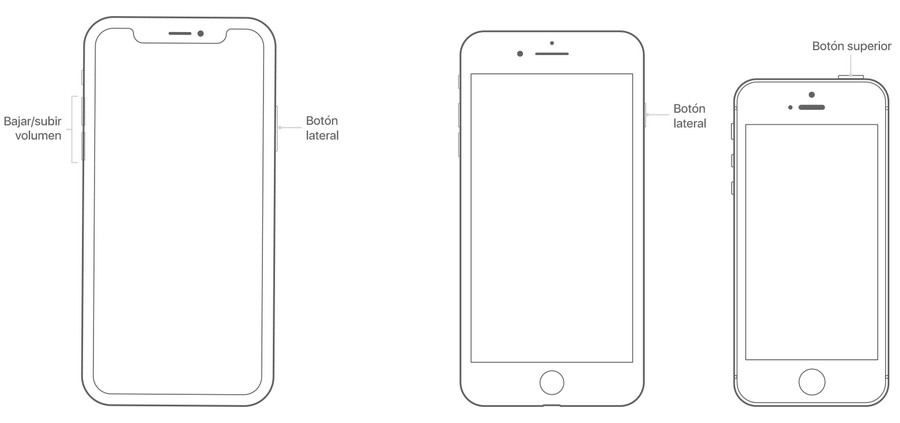 Por la falta de un elemento clave, Apple recortará la producción del iPhone  13 – Nexofin