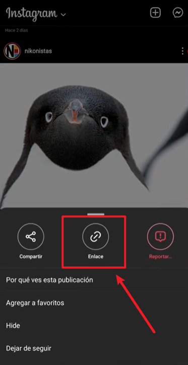 copiar el enlace de foto en instagram
