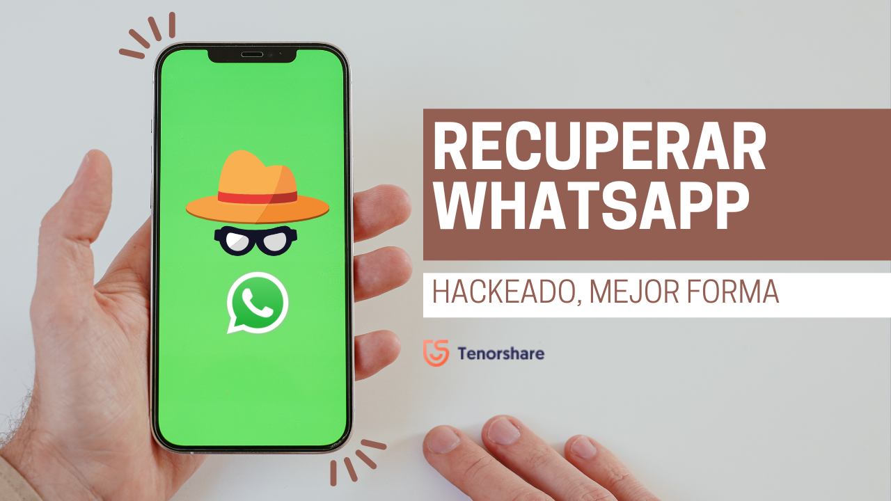 Cómo Recuperar Mi Cuenta De Whatsapp Hackeada 7372