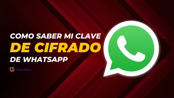 0332 olvide la contrasena de cifrado de whatsapp