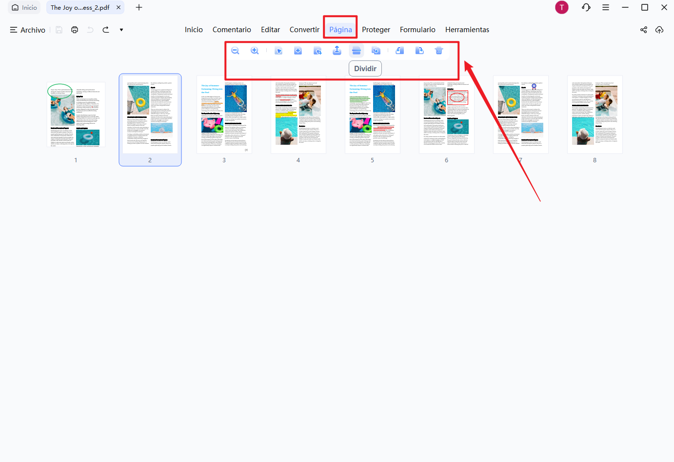 organizar páginas pdf con pdnob pdf editor