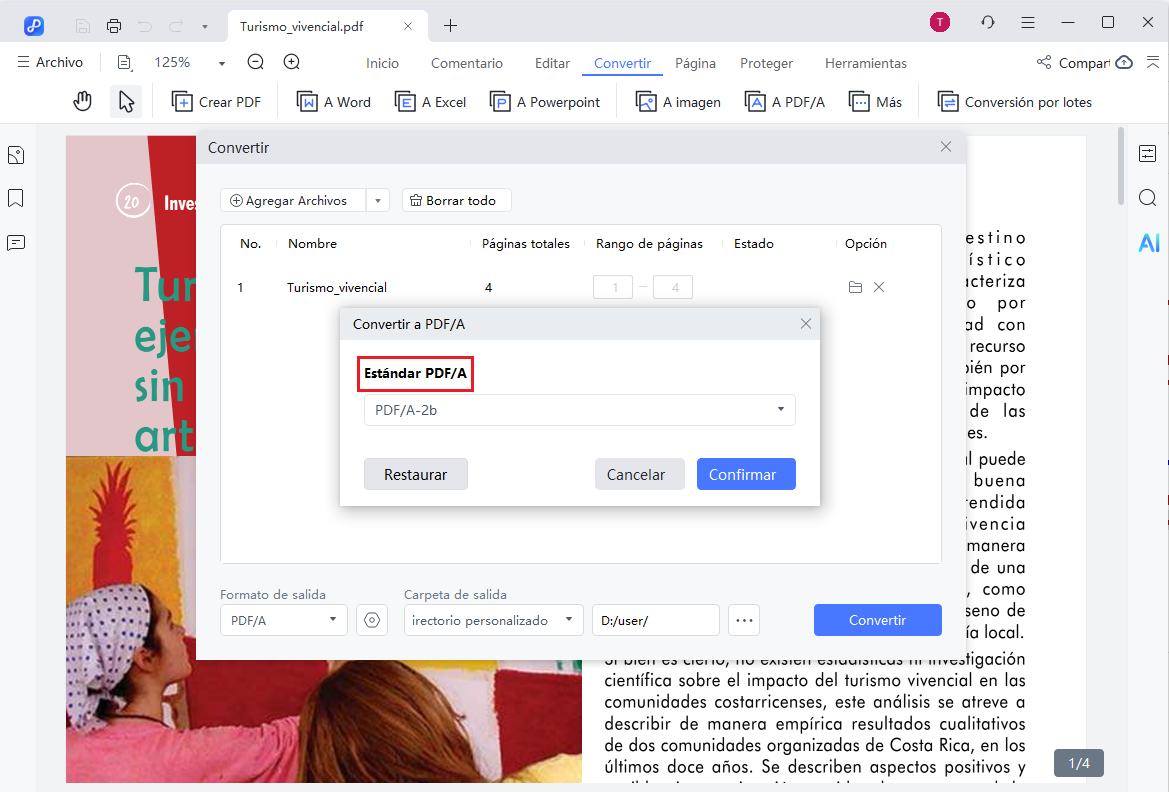 convert to pdf/a settings