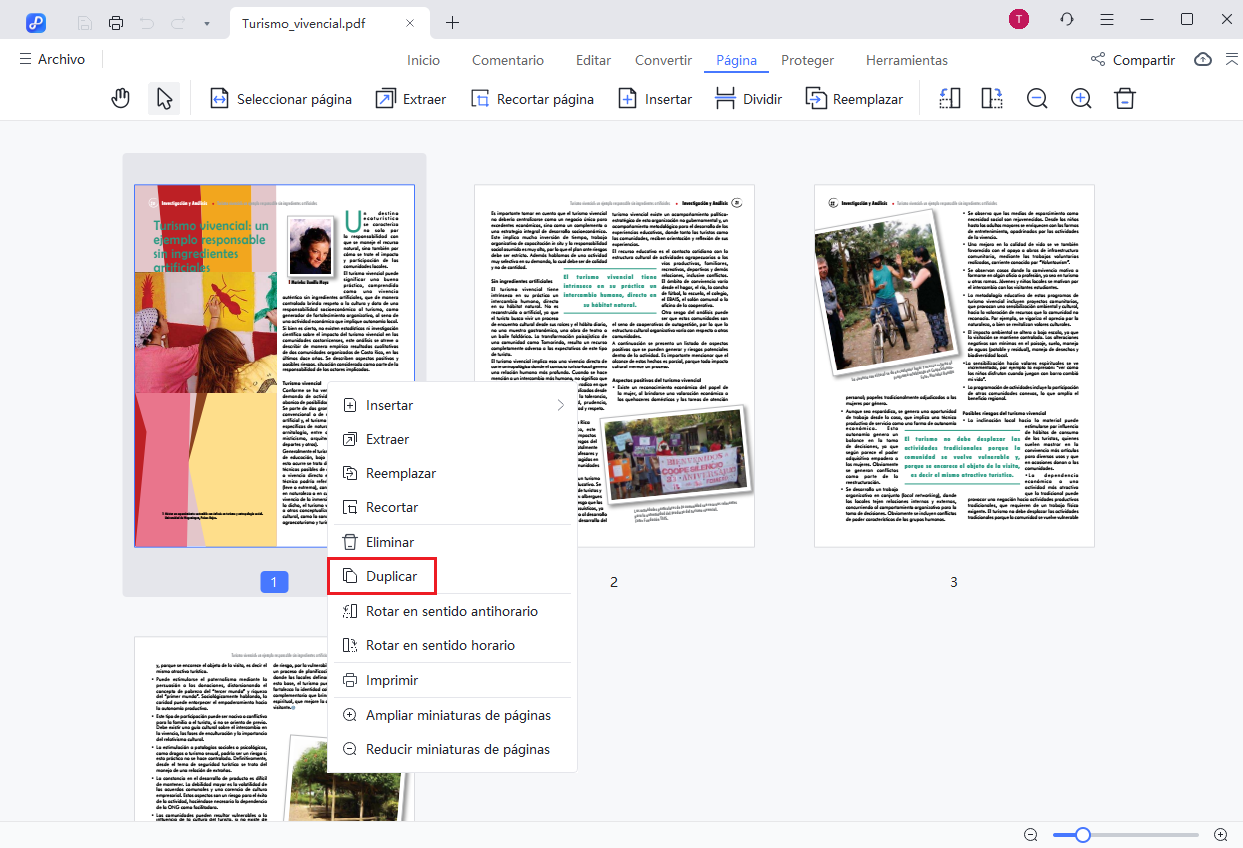 duplicate pages