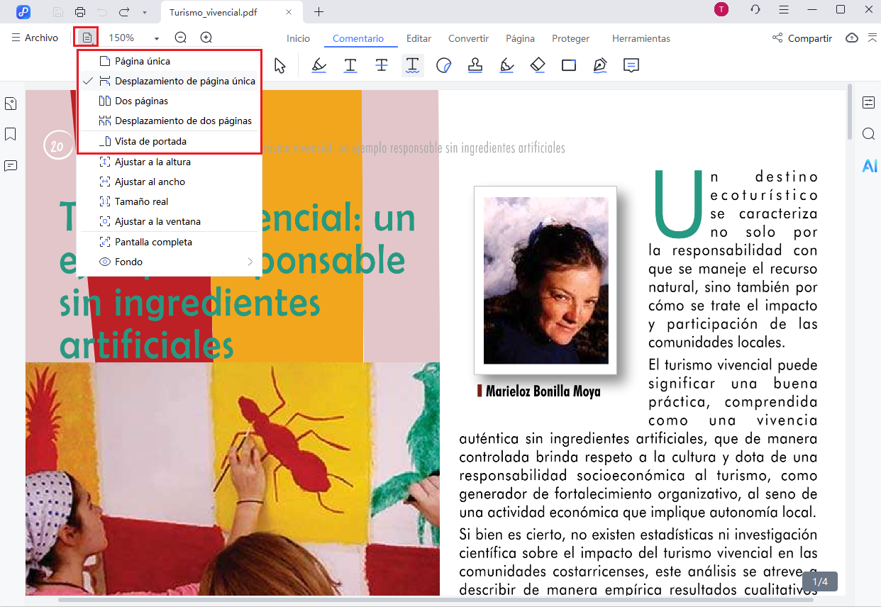 page display mode