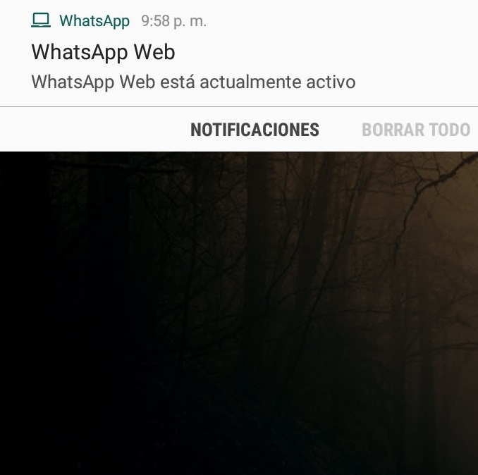 Cómo Saber Si Mi Whatsapp Está Hackeado Tenorshare 0923