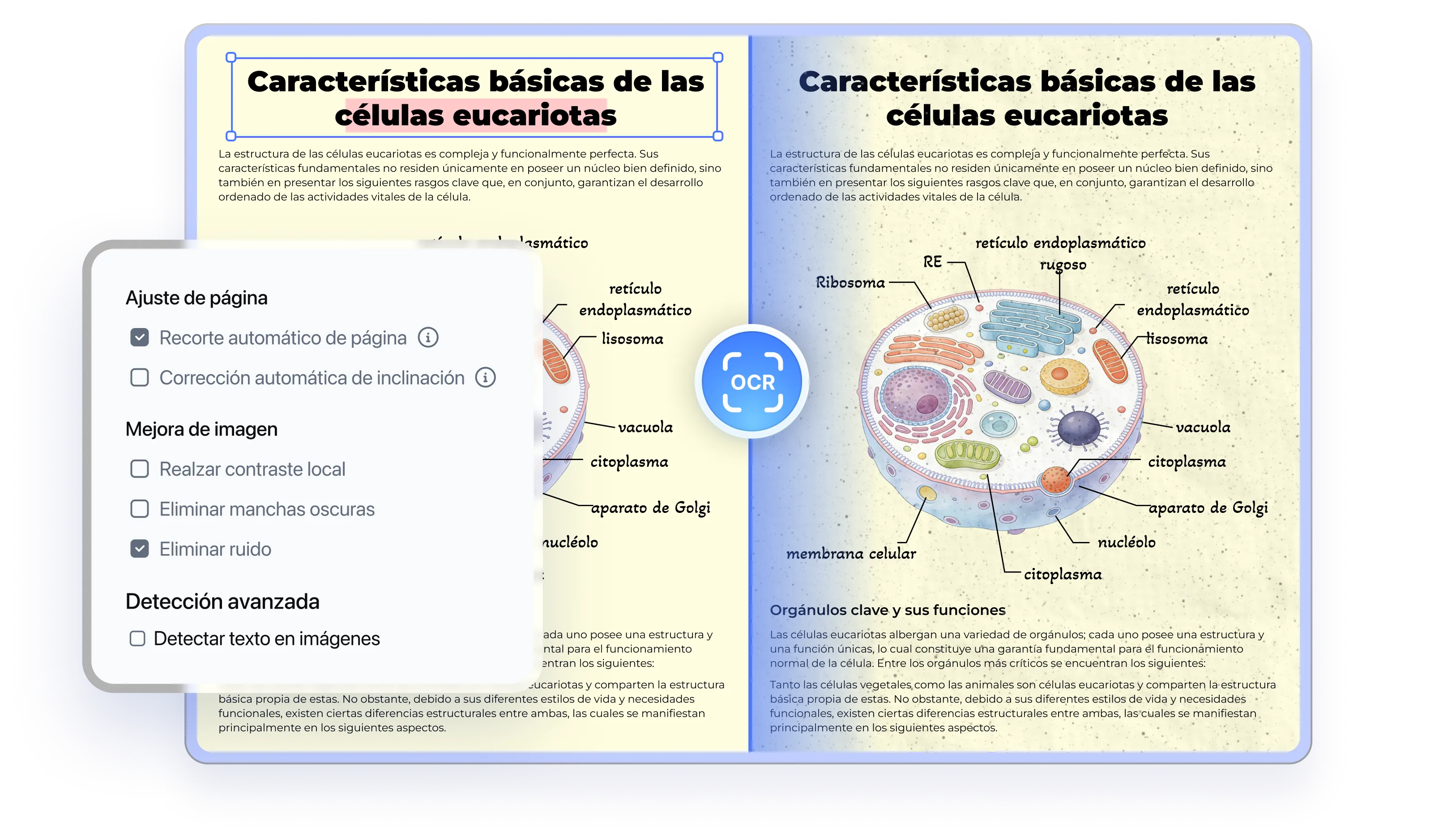 pdnob pdf editor ocr pdf